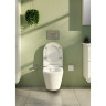 Клавиша смыва VITRA LOOP R, цвет Глянцевый Хром
