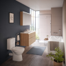 Напольный унитаз VITRA NORM EISBERG 9844B099-7204