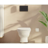 Панель смыва VITRA ROOT SQUARE матовый черный